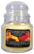 Candle Lite 3827099 3 Oz. Tropical Fruit Medley Jar Candle (Pack of 12)