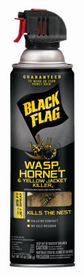 Black Flag Wasp and Hornet Killer 14 oz. (Pack of 12)