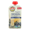Earth's Best Organic Banana Blueberry Baby Food Puree - Stage 2 - Case of 12 - 4 oz.