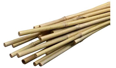 Bamboo Plant Stakes, 2-Ft., 12-Pk.
