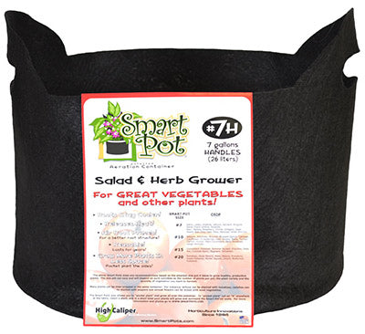 Salad & Herb Container Garden, Black Fabric, 7-Gallons