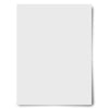 Royal Brites 23408s 22 X 28 White 2-Sided Poster Boards 10 Count (Pack of 10)