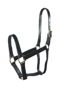 Hamilton  Leather  Halter