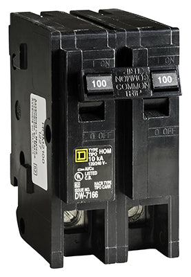 Homeline 100-Amp Double-Pole Circuit Breaker - HOM2100CP - 047569062858 ...