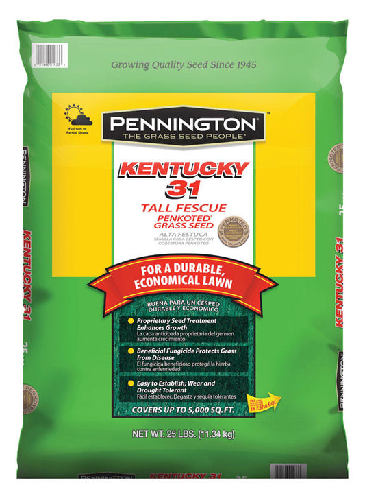 Pennington Seed Kentucky 31 Penkoted Tall Fescue Grass Seed Bagged 25 Lb.