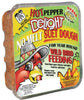 C&S Products Hot Pepper Delight Assorted Species Wild Bird Food Beef Suet 11.75 oz. (Pack of 12)