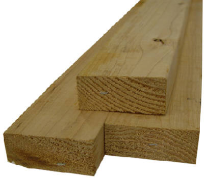 Wood Stud, 2 x 3-In. x 8-Ft.