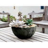 Novelty Artstone 5.85 in. H X 12.2 in. W X 12.2 in. D X 12.2 in. D Resin/Stone Powder Napa Bowl Plan