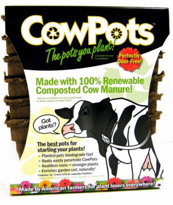 CowPots 2.88 in. H X 3 in. W X 1.88 in. L Plant Pot Seed Starter 12 pk (Pack of 12)