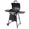 American Gourmet 2 Burner Liquid Propane Grill Black