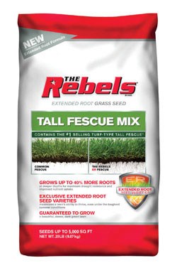 Rebels Tall Fescue Shady Mix Grass Seed 20 Lb.