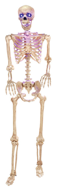 Seasons  Skeleton  Lighted Blue  Halloween Decoration  5 ft. H x 15.5 in. W 1 pk