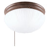 Westinghouse 8.75 in. L Ceiling Light