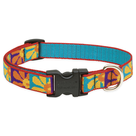 Lupine Pet Original Designs Multicolor Crazy Daisy Nylon Dog Adjustable Collar