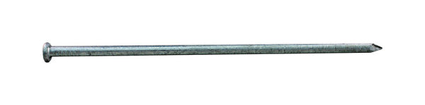 Clavo de acero galvanizado en caliente Pro-Fit de 8 in con punta redonda, 5 lb