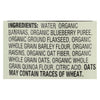 Earth's Best Organic Wholesome Breakfast Blueberry Banana Pouch - Case of 12 - 4 oz.