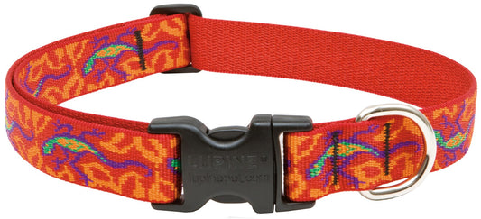 Lupine Collars & Leads 41053 1" X 16"-28" Adjustable Go Go Gecko Design Dog Collar