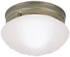 Westinghouse  4-1/2 in. H x 7-1/2 in. W x 7.5 in. L Ceiling Light