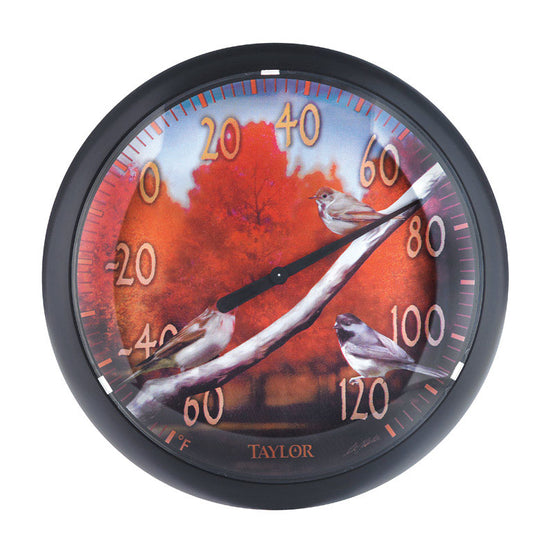 Taylor  Bird Design  Dial Thermometer  Plastic  Multicolored