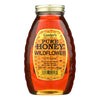 Gunter Pure Wildflower Honey - Case of 12 - 16 oz.