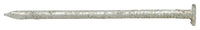 Stallion  10D  3 in. Box  Hot-Dipped Galvanized  Steel  Nail  Flat  1 lb. (Pack of 12)