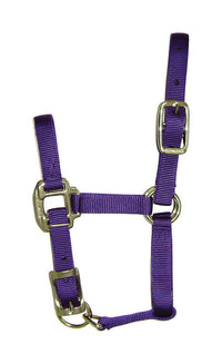 Hamilton  Nylon  Halter