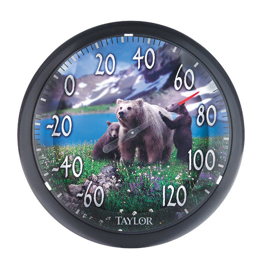 Taylor Bear Design Dial Thermometer Plastic Multicolored