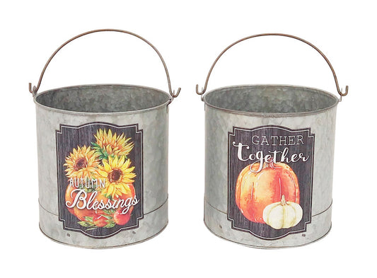 Celebrations Fall Bucket Fall Decoration 9 in. H x 6 in. W 1 bucket (Pack of 6)