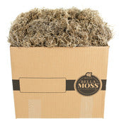 Syndicate Sales Inc 1409-01-070 3 Lb Natural Long Strand Spanish Moss