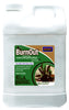 Bonide 7466 2.5 Gallon BurnOut® Weed & Grass Killer