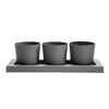 Bloem 4 in.   H X 14 in.   W X 6 in.   D Plastic Trio Flight Planter Charcoal