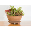 Down Under Decksaver Black Plastic Planter Trivet 1 H x 12 W x 12 D in. for Indoor/Outdoor