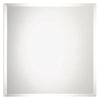 Renin 12 in. W x 12 in. L Clear Clear Mirror Wall Tile 6 pc. (Pack of 6)