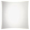 Renin 12 in. W x 12 in. L Clear Clear Mirror Wall Tile 6 pc. (Pack of 6)