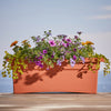 Bloem Terracotta Clay Resin Rectangular Veranda Planter 10 H x 12 W x 26.3 D in.