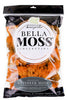 Syndicate Sales Bella Moss Autumn Reindeer Moss 200 cu in