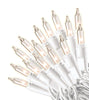 Celebrations  Incandescent  Clear/Warm White  50 count String  Christmas Lights  12 ft.