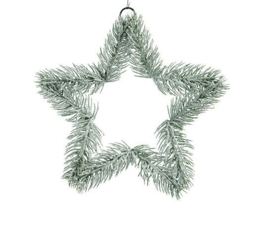 Decoris  Open Star with Hanger  Christmas Decoration  Green  PE  1 pk (Pack of 24)