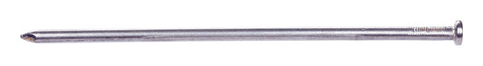 Pro-Fit  10 in. L Spike  Bright  Steel  Nail  Smooth Shank  Flat  50 lb.