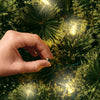 Celebrations  Platinum  LED  Mini  Clear/Warm White  50 count String  Christmas Lights  24.5 ft.