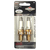 Briggs and Stratton Spark Plug 696202