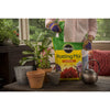 Miracle Gro 75651300 1 Cu Ft Miracle-Gro┬« Potting Mix 0.21-0.11-0.16 (Pack of 80)