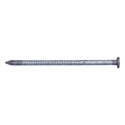 Pro-Fit 16D 3-1/2 in. Lumber Hot-Dipped Galvanized Steel Nail Flat Head 50 lb