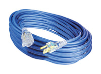 Projex Outdoor 100 ft. L Blue Extension Cord 14/3 SJOW