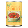 Amy's - Organic Chunky Vegetable Soup - Case of 12 - 14.3 oz