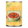 Amy's - Organic Chunky Vegetable Soup - Case of 12 - 14.3 oz