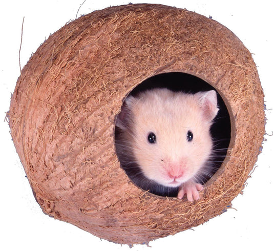 Penn Plax Sam106 4 Coconut Cabana For Hamsters & Mice