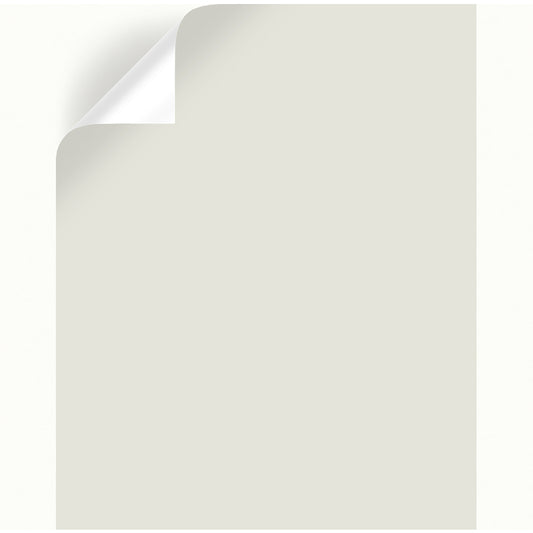 Magnolia Home by Joanna Gaines Shiplap Peel & Stick Color Sample (Pack of 25)