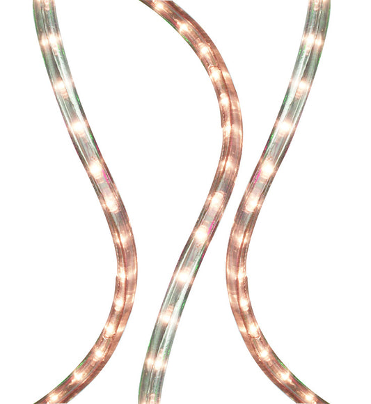 Celebrations  Incandescent  Clear/Warm White  Rope Lights  102 ft.