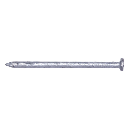 Pro-Fit 10D 3 in. Common Hot-Dipped Galvanized Steel Nail Flat Head 50 lb